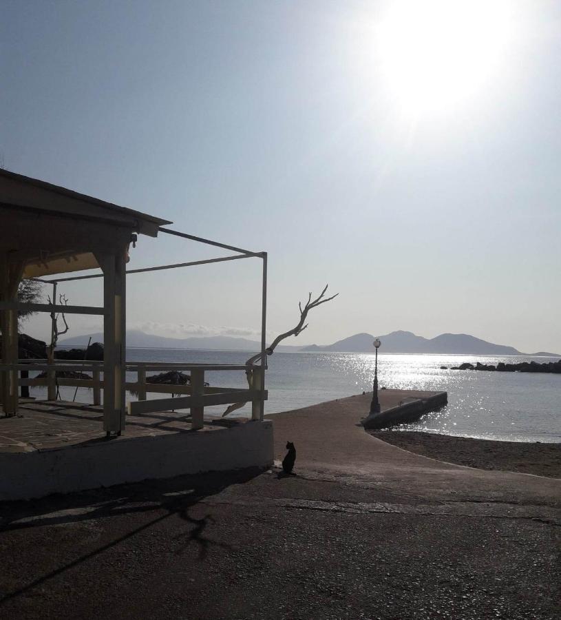 Hotel Rena Agios Kirykos  ภายนอก รูปภาพ